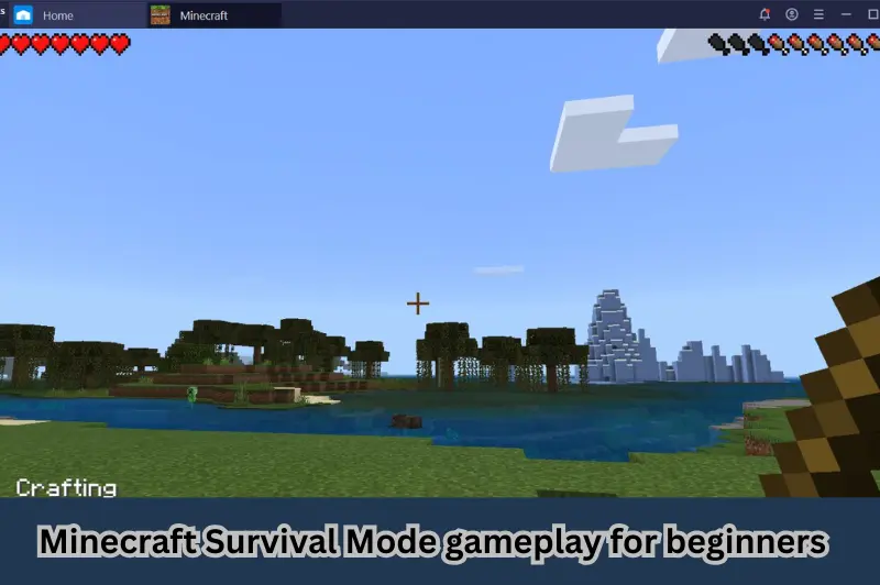 minecraft survival mode gameplay for beginners